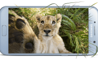 3 bons plans de la journée : Samsung Galaxy A5 2017, Galaxy S8 et iPhone 7 Plus RED