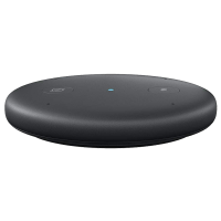 Amazon Echo Input