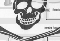 Le piratage en forte décrue en France, même sans riposte graduée