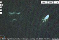 Insolite : le monstre du Loch Ness repéré grâce à Google Earth ?