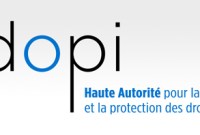 Recours contre Hadopi :
