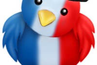 L'Assemblée devrait réguler l'utilisation de Twitter par les députés