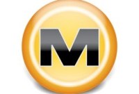 L'arrêt de MegaUpload aurait incité 48 % des pirates à arrêter