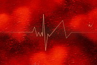 BioPhone, une application pour suivre le rythme cardiaque sans contact