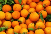 Vous avez demandé Google avec Orange ? Votre adresse IP est associée à un...