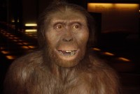 On croit savoir comment Lucy est morte il y a 3,2 millions d'années