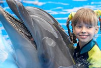 TripAdvisor ne proposera plus certaines attractions touristiques avec des animaux