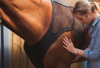 Un body connecté pour surveiller ses chevaux, made-in France