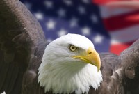 En cas de conflit avec les USA, vous pouvez perdre l'accès à vos jeux et services Web