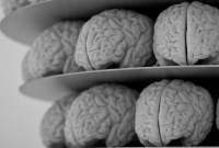 Peut-on vraiment relier les cerveaux aux machines ? Le projet d'Elon Musk vu par un neuroscientifique