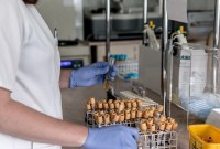 L'IA, une piste pour suivre l'effet d'un traitement contre le cancer du sein