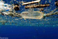 Comment ces satellites européens ont été détournés pour chasser le plastique dans les océans