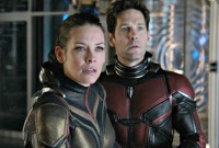 Ant-Man et la Guêpe : un blockbuster humble et rafraîchissant