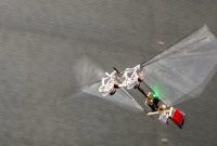 Le sort des abeilles est si préoccupant qu'on a déjà créé des robots pour...