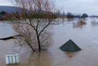 Réchauffement climatique : comment nos barrières mentales nous empêchent de sauver la planète