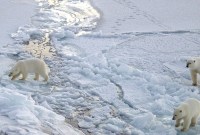 Netflix, YouTube et les crypto-monnaies sont dangereux pour l'environnement, mais il y a des...