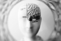 Pourquoi la taille de notre cerveau a-t-elle triplé en quelques millions d'années ?