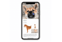 Google Lens peut maintenant identifier un milliard de produits (et des races de chiens...