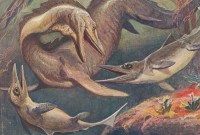Le fossile de ce monstre marin qui vivait il y a 180 millions d'années...