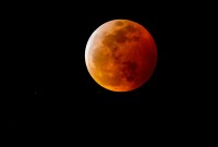 Vous avez manqué la seule éclipse lunaire totale de 2019 ? Ces magnifiques photos...
