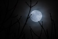Comment observer la « super lune » ce soir (et pourquoi cette expression est trompeuse)