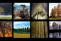 Une IA transforme vos gribouillis en paysages magnifiques