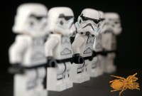 « Araignées Stormtroopers » : des mygales portent le nom des soldats dans Star...