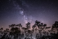 Comment voir l'essaim d'étoiles filantes des Delta Aquarides Sud la nuit du mercredi 29...