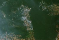 L'Amazonie brûle : voici les conséquences gravissimes sur l'avenir de la planète