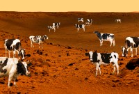 Y a-t-il des vaches sur Mars ? Ou pourquoi le mystère du méthane passionne...