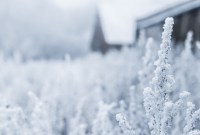 Pourquoi l'hiver ne tombe pas toujours le 21 décembre