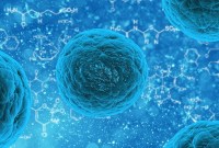 Une intelligence artificielle a conçu un antibiotique surpuissant : c'est une première