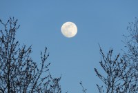 Ne cherchez pas à observer cette « micro Lune », elle n’existe pas