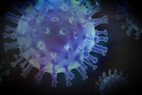 Pourquoi le tocilizumab est un médicament prometteur contre le coronavirus