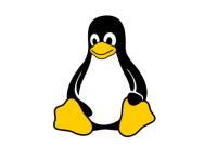 Linux approuve le bannissement des termes « maître/esclave » et « liste noire »