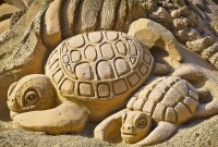 Pourquoi notre alimentation doit absolument changer pour freiner la sixième extinction