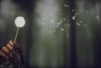 Le jeu vidéo est-il vraiment meilleur sans narration ?