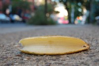 Aux USA, un tribunal a dû décider si un costume de banane pouvait être...