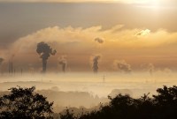 Changement climatique : comment ce matériau pourrait éliminer le surplus de dioxyde de carbone