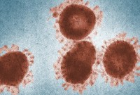 La mutation du coronavirus peut-elle compromettre les vaccins de Pfizer, Moderna et AstraZeneca ?