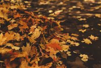 Pourquoi l'équinoxe d'automne tombe-t-il le 22 septembre cette année ?