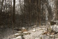 Abandoned, jeu caché d'Hideo Kojima ? Sur les traces de l'étrange rumeur