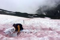 « Le sang des glaciers » : d’où viennent ces neiges rouges de haute...