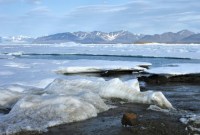 L’île la plus au Nord de la planète vient d’être découverte par hasard
