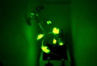 Et si nos futures lampes de chevet étaient des plantes luminescentes ?