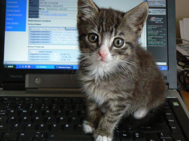 Comment protéger son ordinateur ?