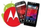 Android ICS arrrivera 6 semaines après sa sortie sur les Motorola Droid RAZR, Droid BIONIC et XOOM