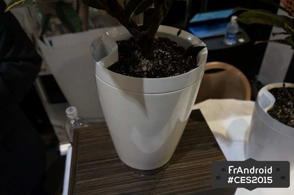 Avec ses Pot et H2O, Parrot compte arroser vos plantes à votre place