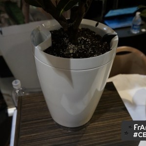 Avec ses Pot et H2O, Parrot compte arroser vos plantes à votre place