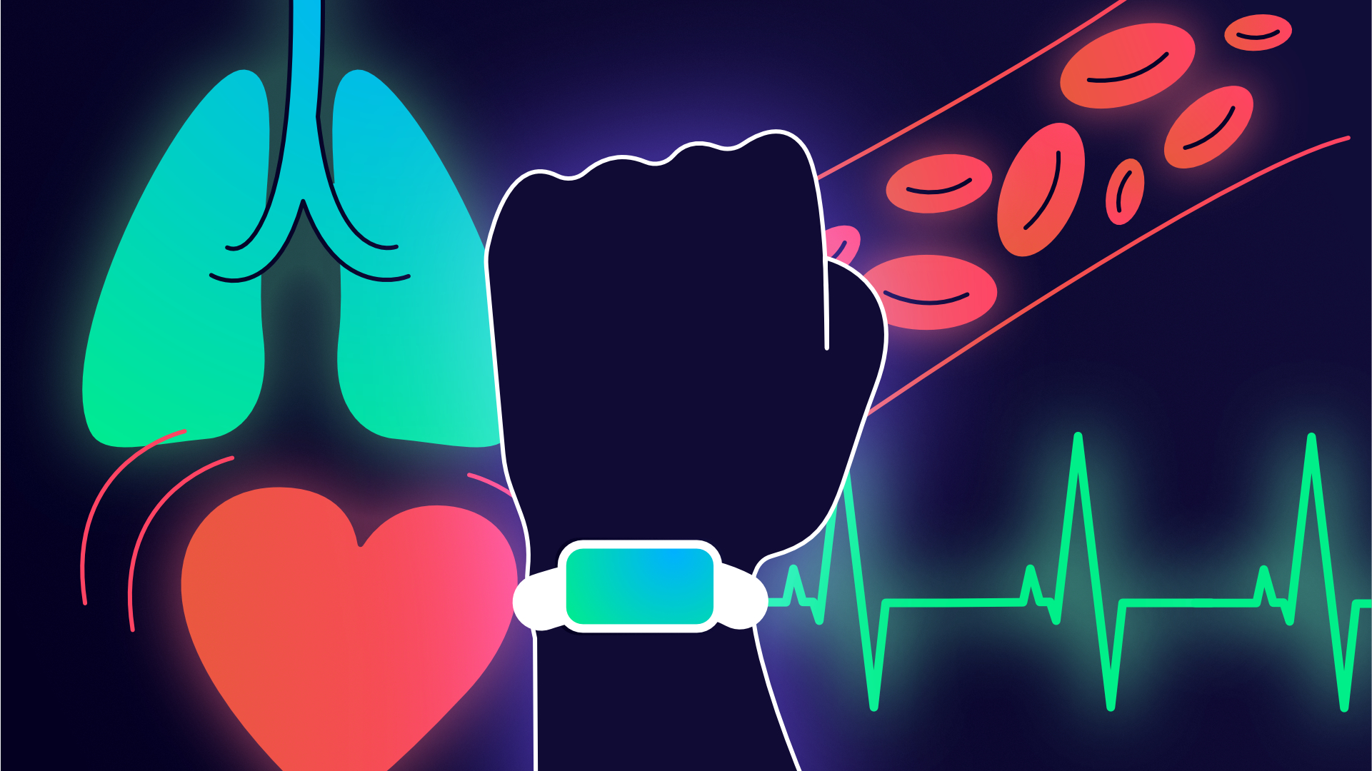 Rythme cardiaque, VO2max, SpO2, ECG : comment les montres connectées prennent soin de votre cœur
